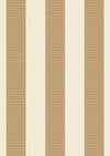 Stripe Kahve Çizgili