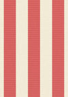Stripe Kırmızı Çizgili