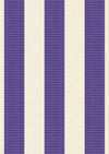 Stripe Mavi Çizgili