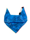 Little  Blue Scarf