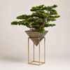 Büyük Boy Gold Standlı Yapay Bonsai