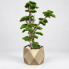 Gold Saksılı Yapay Bonsai Ağacı