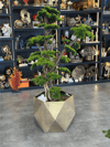 Gold Saksılı Yapay Bonsai Ağacı