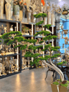 Pirinç Geometrik Saksılı Yapay Bonsai