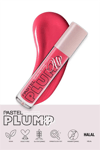 Plump Up Extra Hydrating Plumping Gloss - Dolgunlaştıran Dudak Parlatıcısı 204 Spicy Sweet
