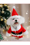 Şenlikli Noel Baba Köpek Kostüm Seti – Küçük Irklar İçin Sıcak Polyester Tulum, Kazak Tasarım Evcil Hayvan Kıyafeti-L beden