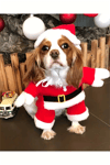 Şenlikli Noel Baba Köpek Kostüm Seti – Küçük Irklar İçin Sıcak Polyester Tulum, Kazak Tasarım Evcil Hayvan Kıyafeti-L beden