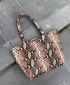Browny Snake