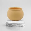 SAKURA SERİES - HARDAL SARISI