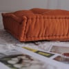 Terracotta Nova Biscuit Minder