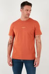 % 100 Pamuk Bisiklet Yaka Regular Fit Erkek T Shirt 5902757 Tarçın