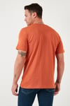 % 100 Pamuk Bisiklet Yaka Regular Fit Erkek T Shirt 5902757 Tarçın