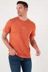 % 100 Pamuk Bisiklet Yaka Regular Fit Erkek T Shirt 5902757 Tarçın