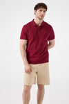 % 100 Pamuk Regular Fit Düğmeli Erkek Polo Yaka T Shirt 6SM5044-TRD KOYU KIRMIZI