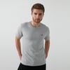 Bisiklet Yaka % 100 Pamuk Erkek T Shirt 17164-0032 GRİ