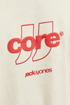 Core Logolu Pamuklu Regular Fit Bisiklet Yaka Erkek T Shirt 12289868 KREM