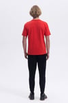 Ellesse Baskılı Pamuklu Regular Fit Bisiklet Yaka Erkek T Shirt EM459-RD KIRMIZI
