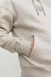 Essentials Jjecosmo Kapüşonlu Regular Fit Erkek Sweat 12233979 AÇIK GRİ