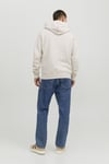 Essentials Jjecosmo Kapüşonlu Regular Fit Erkek Sweat 12233979 AÇIK GRİ