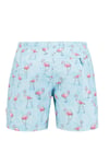 Flamingo Desenli Hızlı Kuruyan Erkek Mayo Short JFSSSW43 AÇIK MAVİ