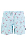 Flamingo Desenli Hızlı Kuruyan Erkek Mayo Short JFSSSW43 AÇIK MAVİ
