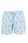 Flamingo Desenli Hızlı Kuruyan Erkek Mayo Short JFSSSW43 AÇIK MAVİ