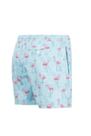 Flamingo Desenli Hızlı Kuruyan Erkek Mayo Short JFSSSW43 AÇIK MAVİ