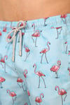 Flamingo Desenli Hızlı Kuruyan Erkek Mayo Short JFSSSW43 AÇIK MAVİ