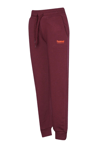 Hummel Logolu Pamuklu Regular Fit Ribanalı Paça Kız Çocuk Eşofman Altı 932336-3858 BORDO