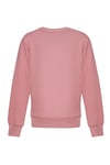 Hummel Pamuklu Regular Fit Bisiklet Yaka Logolu Unisex Çocuk Sweat 922379-3325 GÜL KURUSU