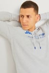 Jack & Jones Jjalvis Pamuklu Relaxed Fit Kapüşonlu Yaka Erkek Sweat 12256848 AÇIK GRİ