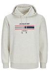 Jack & Jones Jjsouth Baskılı Pamuklu Regular Fit Kapüşonlu Erkek Sweat 12256820 AÇIK GRİ