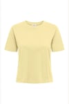 Jdy Jdyrex % 100 Pamuk Regular Fit Yuvarlak Yaka Kadın T Shirt 15344612 SARI