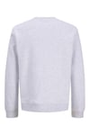 Jjaero Logolu Pamuklu Bisiklet Yaka Erkek Sweat 12298492 AÇIK GRİ