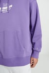 Lee Pamuklu Loose Fit Sırt Baskılı Şardonlu Kapüşon Yaka Erkek Sweat L232274 499 MOR