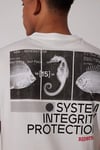Lee Pamuklu Regular Fit Bisiklet Yaka Erkek T Shirt L231710 100 BEYAZ
