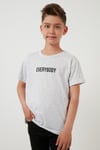 Lela Baskılı Bisiklet Yaka Pamuklu Erkek Çocuk T Shirt 6211016 GRİ MELANJ
