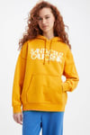 Levi's % 100 Pamuk Relaxed Fit Kanguru Cepli Kapüşonlu Bayan Sweat A3724-0004 HARDAL-SARI