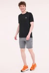 Lumberjack Regular Fit Bisiklet Yaka Logolu Erkek T Shirt 11ELG1010 5FX SİYAH