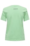 Onlfoodie Pamuklu Regular Fit Bisiklet Yaka Kadın T Shirt 15316728 YEŞİL