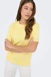 Onlfreja Pamuklu Regular Fit Yuvarlak Yaka Kadın T Shirt 15367970 SARI