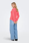 Onlgeena Regular Fit Bisiklet Yaka Örme Kadın Kazak 15113356A MERCAN