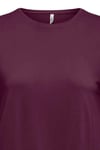 Onlhannah Regular Fit Bisiklet Yaka Basic Kadın T Shirt 15371576 VİŞNE