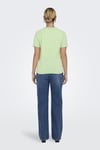 Onllucy Organik Pamuklu Regular Fit Kadın T Shirt 15307412 MİNT