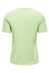 Onllucy Organik Pamuklu Regular Fit Kadın T Shirt 15307412 MİNT