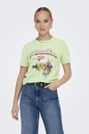 Onllucy Organik Pamuklu Regular Fit Kadın T Shirt 15307412 MİNT
