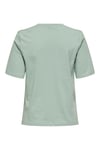 Onlmoody Pamuklu Regular Fit Bisiklet Yaka Kadın T Shirt 15343277 MİNT