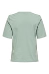Onlmoody Pamuklu Regular Fit Bisiklet Yaka Kadın T Shirt 15343277 MİNT