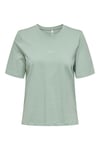 Onlmoody Pamuklu Regular Fit Bisiklet Yaka Kadın T Shirt 15343277 MİNT