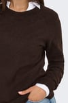 Onlrica Regular Fit Bisiklet Yaka Kadın Kazak 15204279 KOYU KAHVE